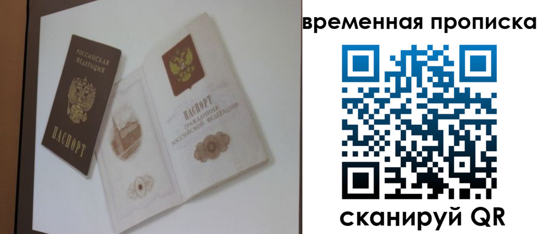 прописка 2025 в Павловске
